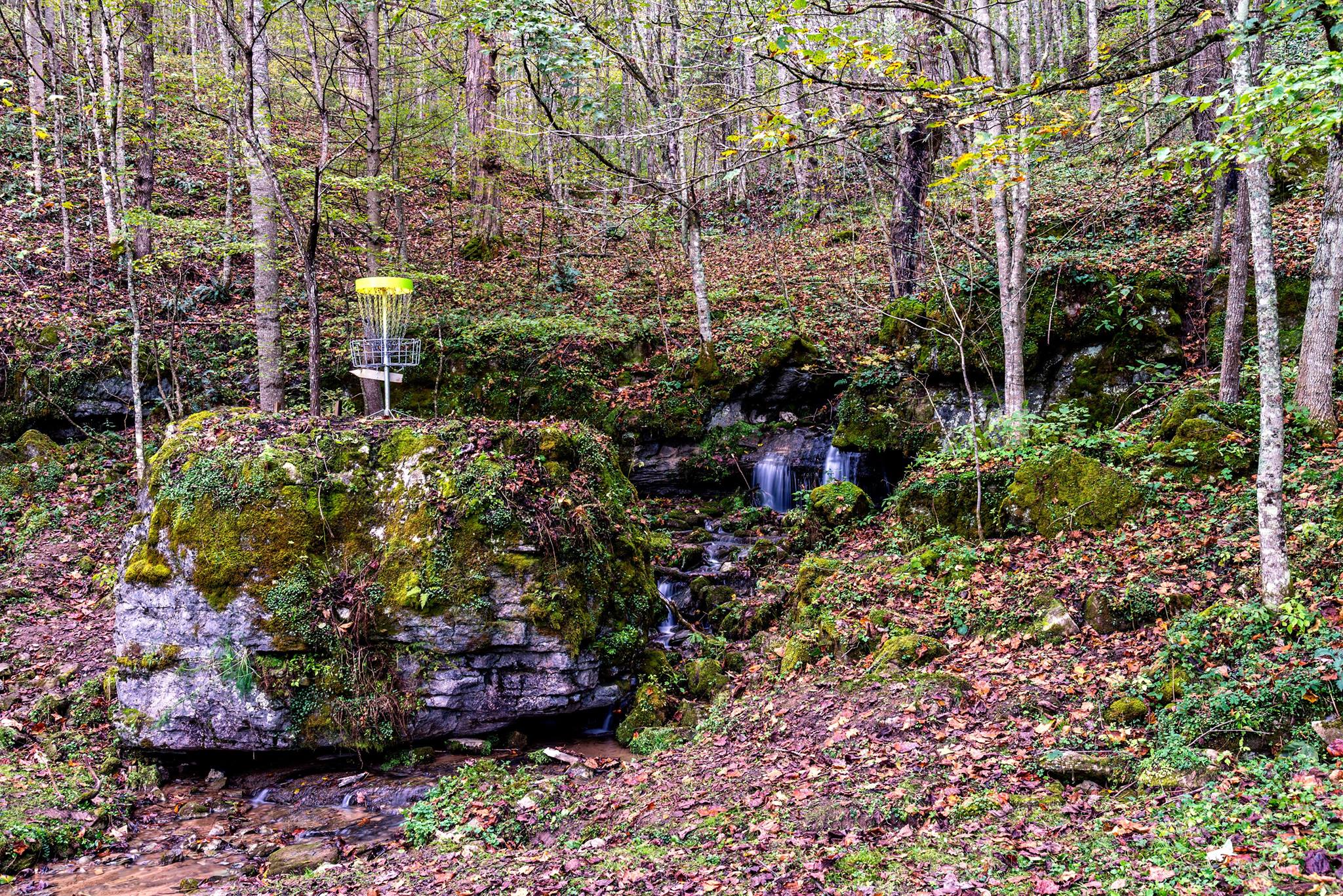 Nellies DGC Boulder Hole #2